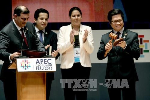 Các thành viên APEC ủng hộ Năm APEC 2017 ở Việt Nam  - ảnh 1
